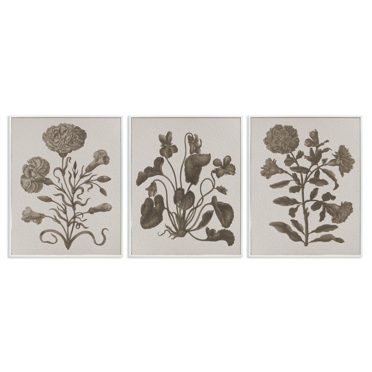 Stupell Industries Vintage Country Botanicals 3pc Framed Giclee Wall Art Set Design by Lil' Rue